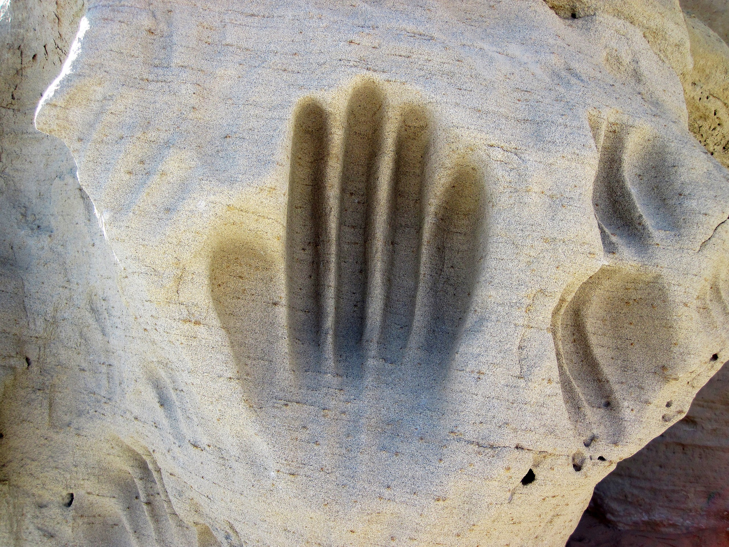White Mountain Petroglyphs