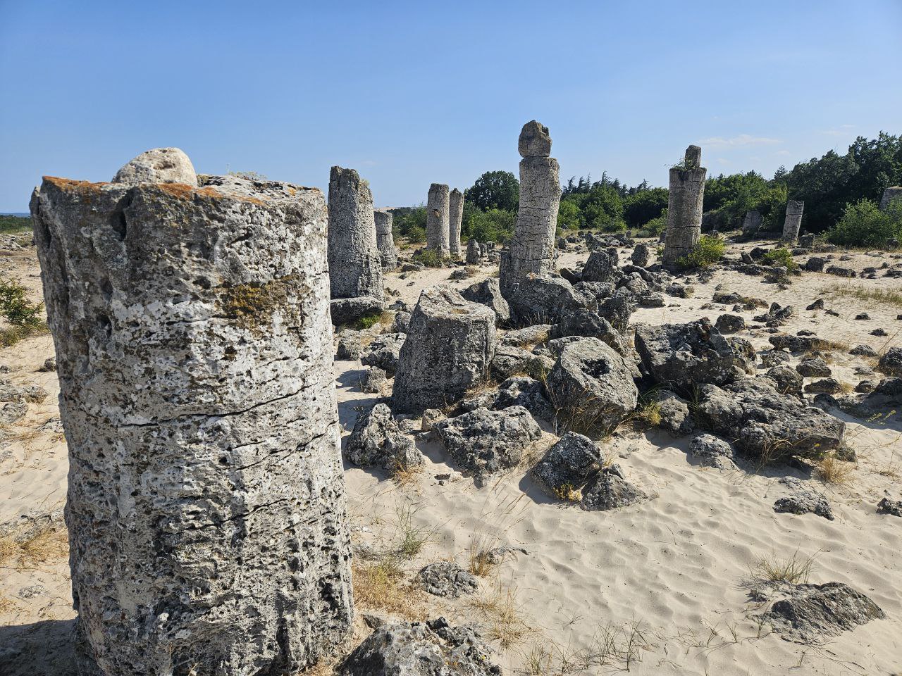The Stone Forest